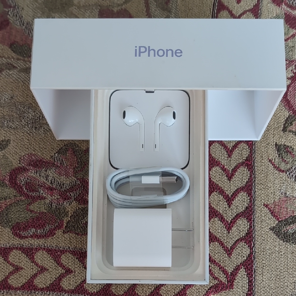 EarPods w/ Lightning Connector & Charger, in Apple iPhone 11 Box (no phone) N